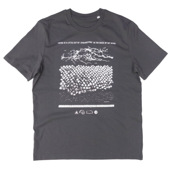 Springtime T-Shirt - anthracite
